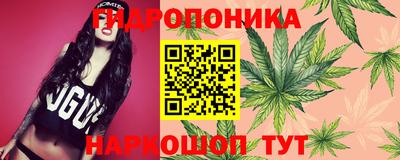 ешки Кандалакша