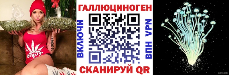 Галлюциногенные грибы GOLDEN TEACHER Нурлат