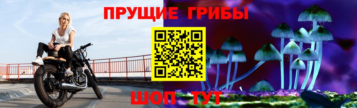Псилоцибиновые грибы Psilocybe  Псилоцибиновые грибы Cubensis  Вход с VPN  Нурлат 