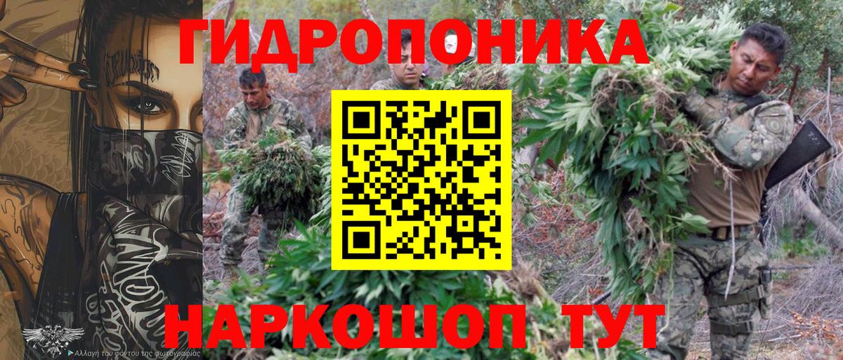 Конопля White Widow  Вход с VPN  Конопля Amnesia  Конопля THC 21%  Нурлат 